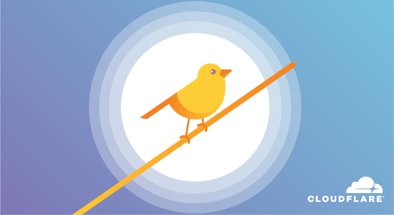 Canari mandaté - oiseau jaune sur fond bleu