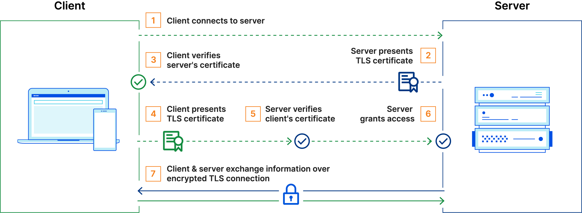 The basic steps in a mutual TLS (mTLS) handshake